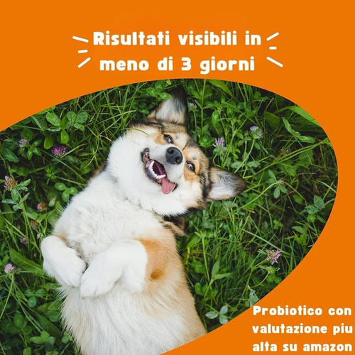 TICALBAK™ — Addio Prurito e Pancia Sensibile.