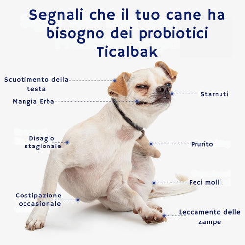 TICALBAK™ — Addio Prurito e Pancia Sensibile.
