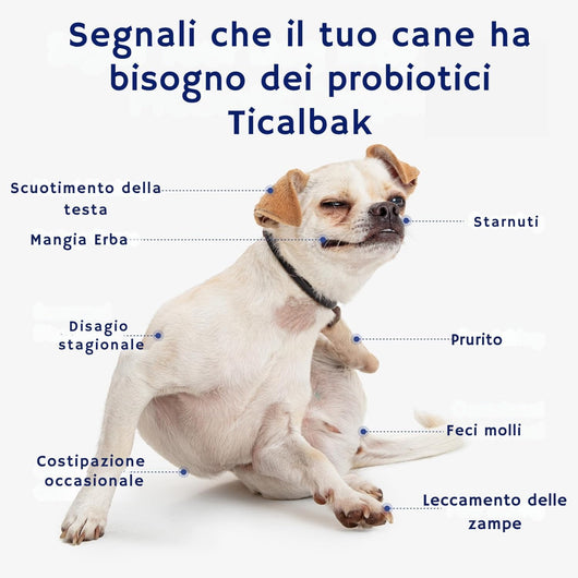 TICALBAK™ — Addio Prurito e Pancia Sensibile.